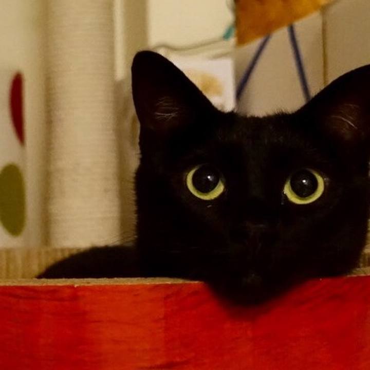 Ca18d4d0 0f1f 4adf 9972 7ebb08e8636a