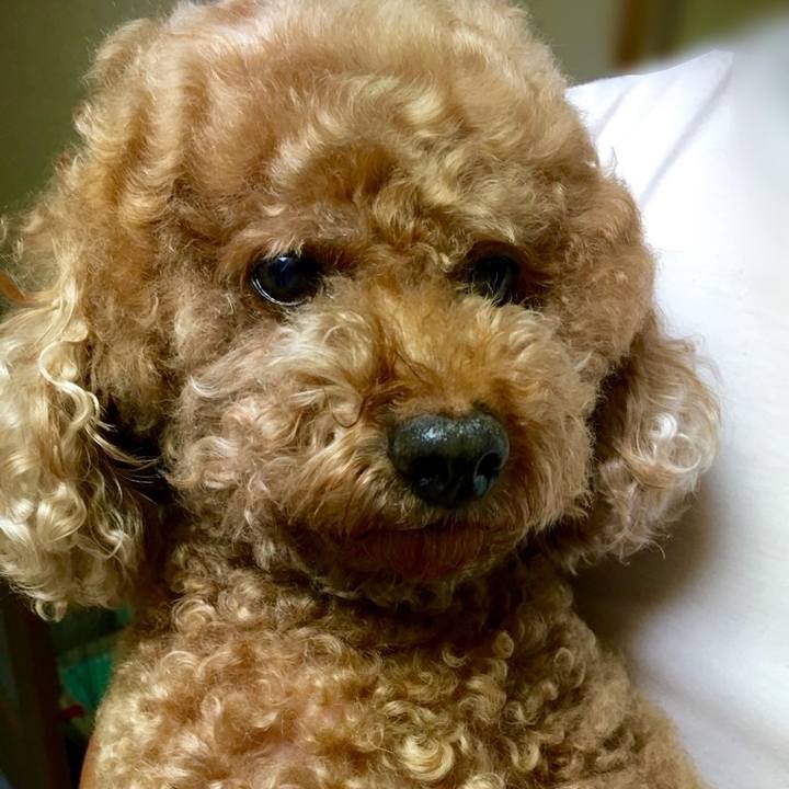 Ca199551 49f4 47e2 981d 567b8f3a9f1e