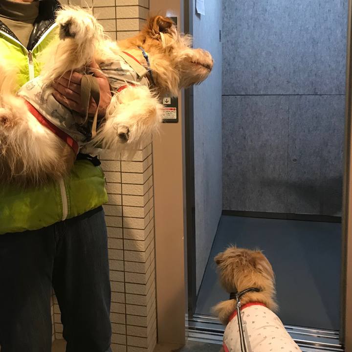 Ca19eaed 74ea 4c1e 82b8 79d74f956234