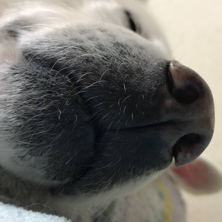 Ca1a3141 5467 4149 820b b0aa7db856cb