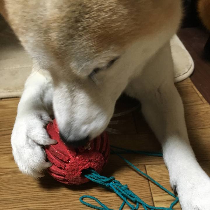 Ca1adc07 0ee8 453b 98b9 42809c28bb13