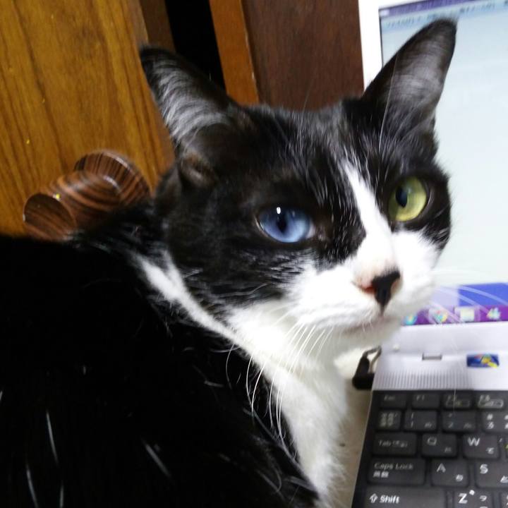 Ca1b5df6 7552 4876 9052 60e2dd7da9c6