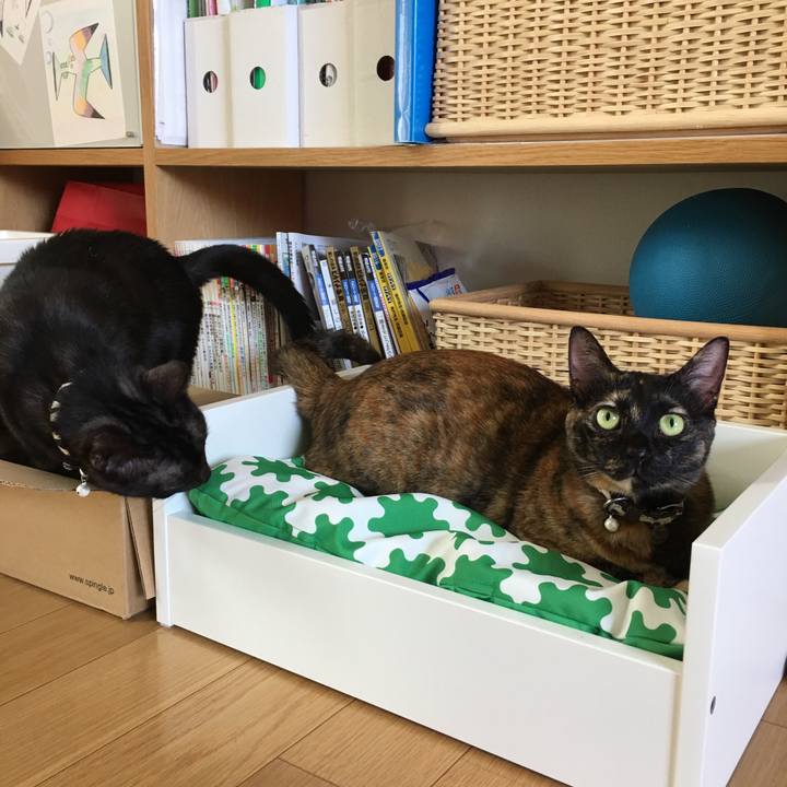 Ca1cd31e f984 4da4 9154 801ac8561e36