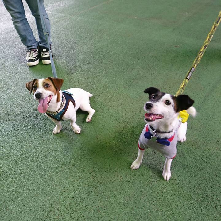 Ca1d09ed 1fc2 4f05 93d0 5f963af03e66