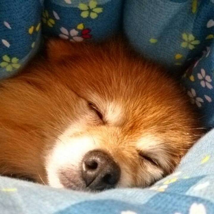 Ca1d0a87 7a97 48cf b652 697e17a5045b