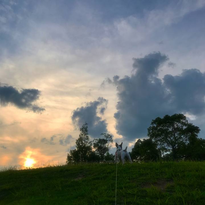 Ca1d2a97 da24 48b9 89b0 f5cb76d80704