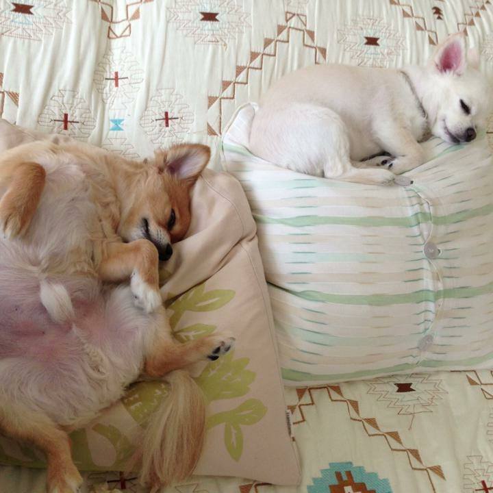 Ca1d5270 fbcc 4f0b b53b c7855acc2490