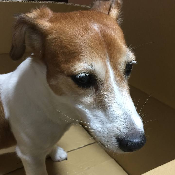 Ca1d6519 92cb 464f 9804 7b24307b5f82