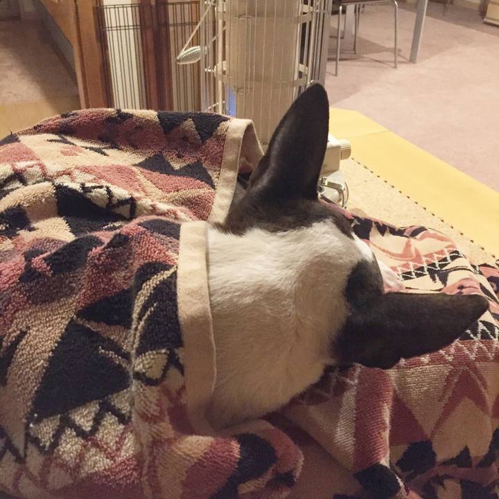 Ca1e51b1 8924 4aee b161 96bb33b7a40a