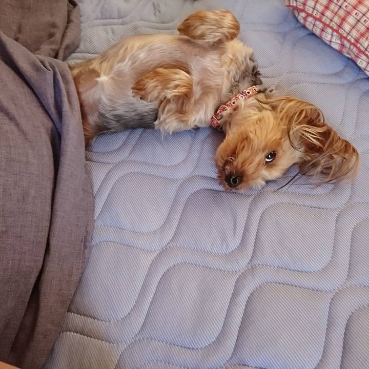 Ca1e731e 64d5 42c6 b76b 613ecdd0f34e