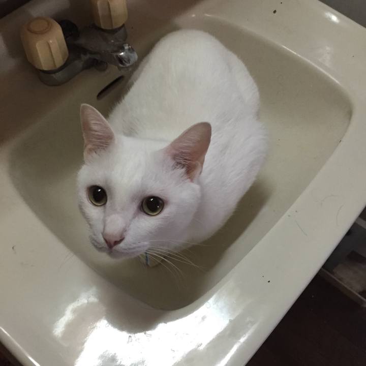 Ca1e89c7 dbeb 4c58 98d0 2ed82ab7a8d4