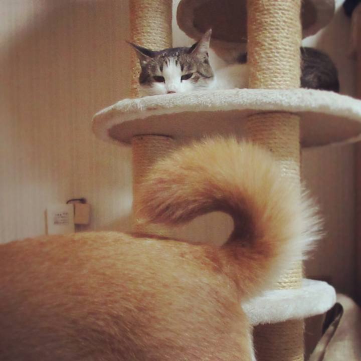 Ca1f0306 c0b7 42b8 8282 4bccb0e1ba07