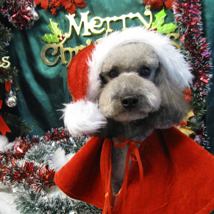 Ca1f9e5b 2946 4d9f 92e8 052fe9695f80