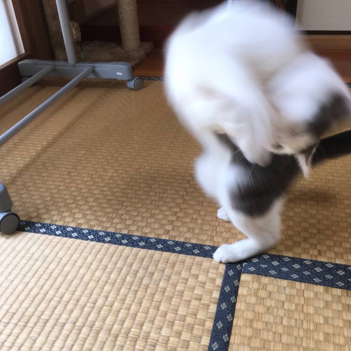 Ca201dbd 5130 45b9 b091 f2b1a1a04ea2