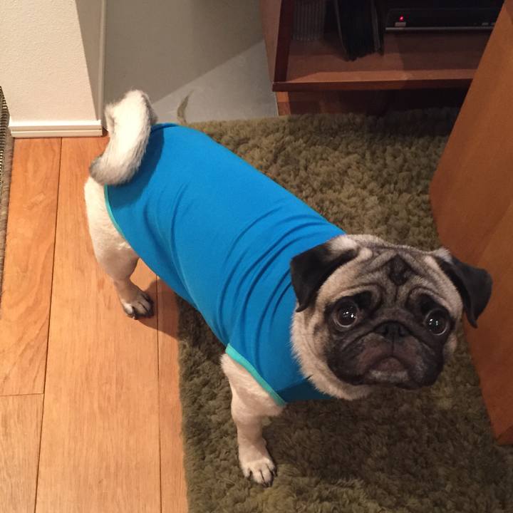 Ca203d6c e545 4e0a 82ae 4c287562e34f