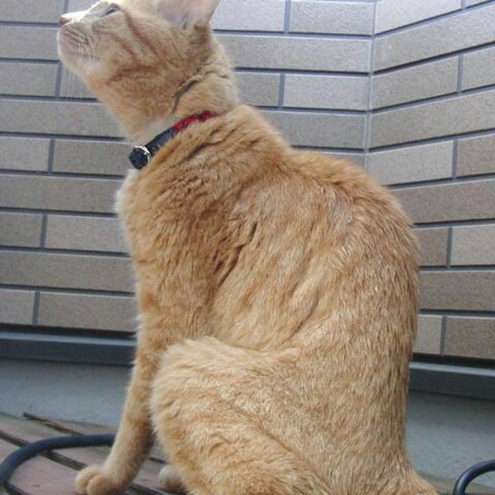 Ca2085a6 3464 4699 bee2 c006e09568bc