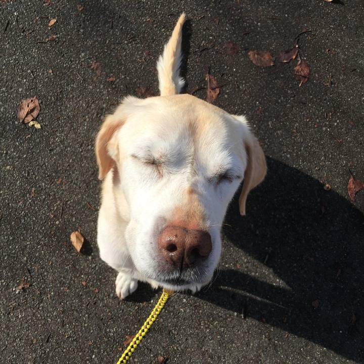 Ca21b472 c700 4ab2 984f ac12dbce3b21