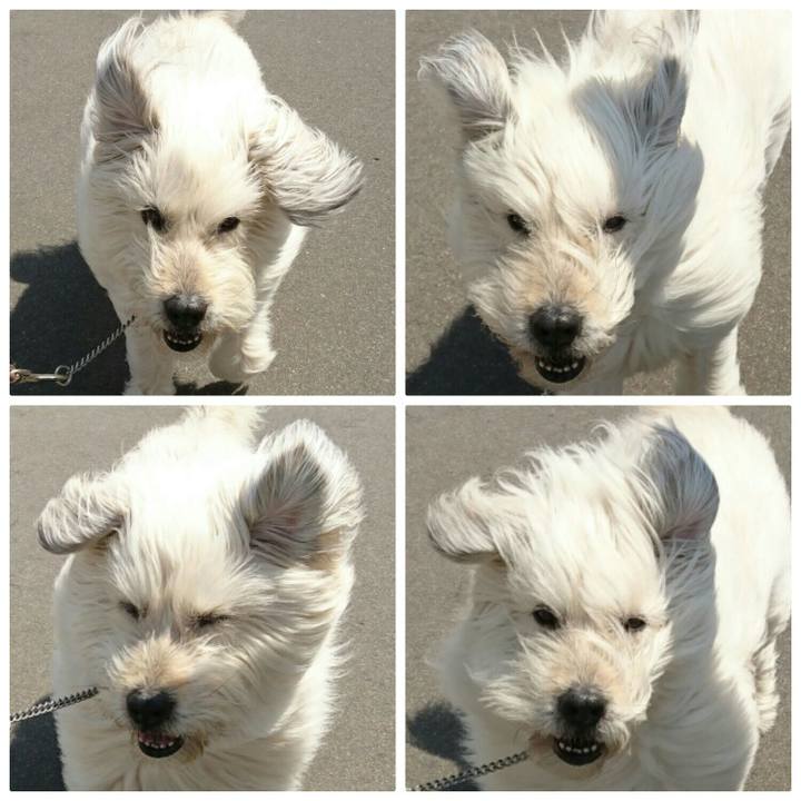 Ca221569 8069 4ad7 8845 0350acd3358a