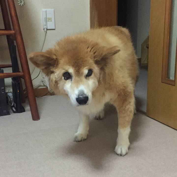 Ca2269f3 139e 4bd7 8bbe d780a8c53c0f