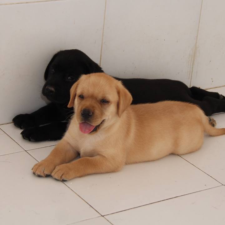 Ca229933 afe2 4e66 a964 073403722523