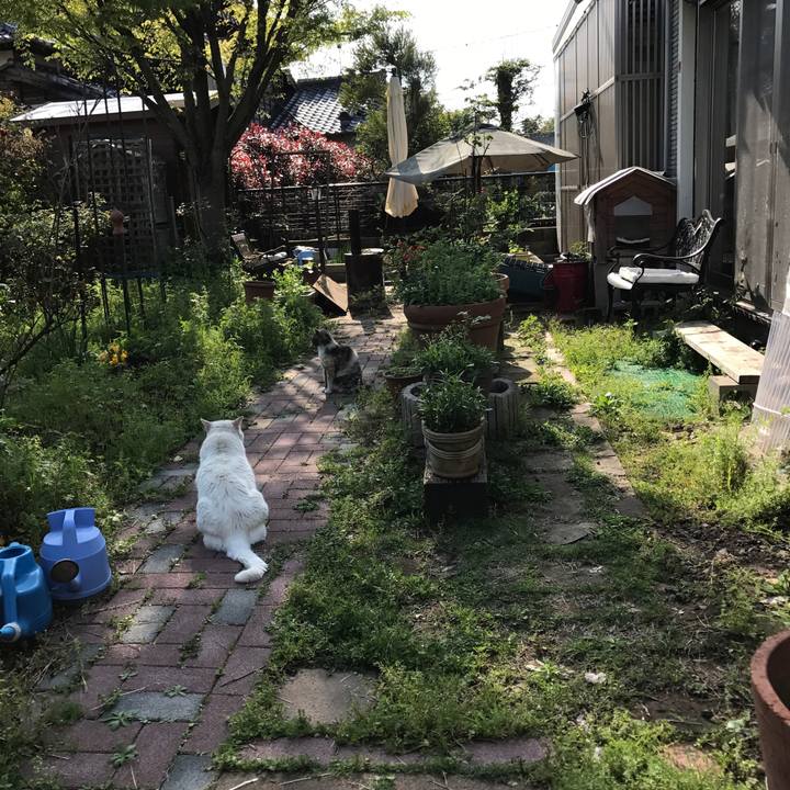 Ca231609 7c7d 44fc 9f4e 7aedf49d62f1