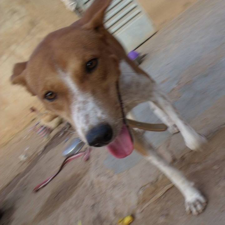 Ca235f9b ca60 4318 879a 14836758e6cd