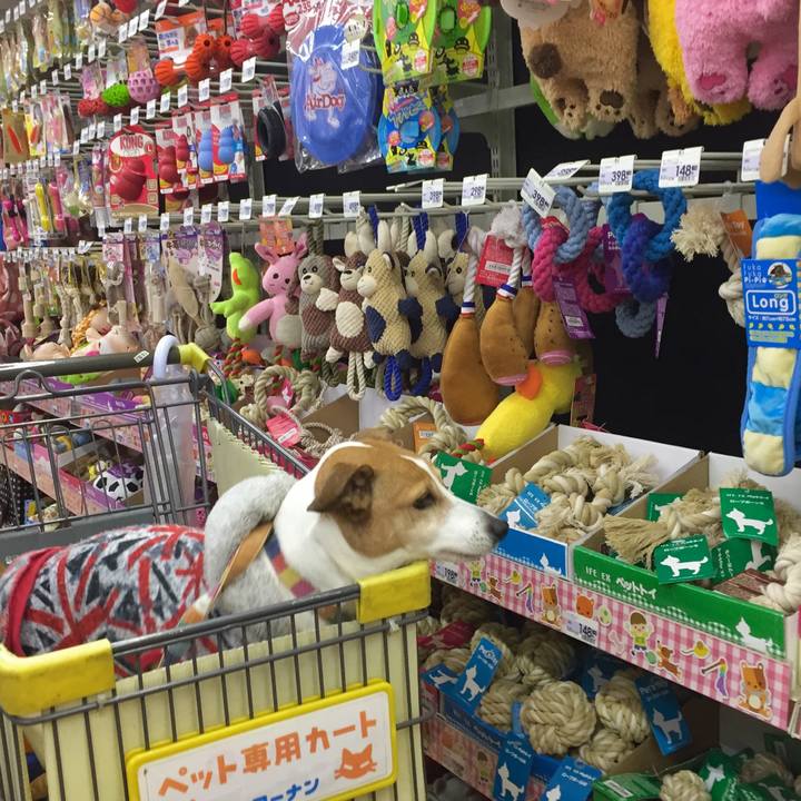 Ca23a7f1 5159 4480 aa9c 834b07d2d3a9
