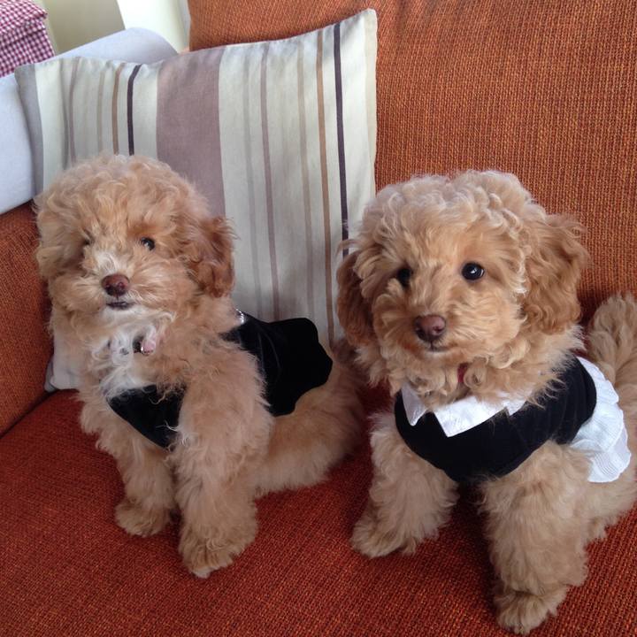 Ca24f954 39ba 4ed8 93d3 253a9dc282e3