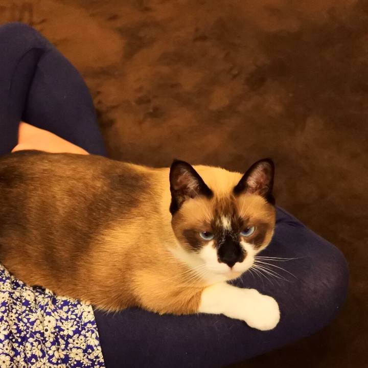 Ca2591f6 3ded 47c9 9876 baef3927de91