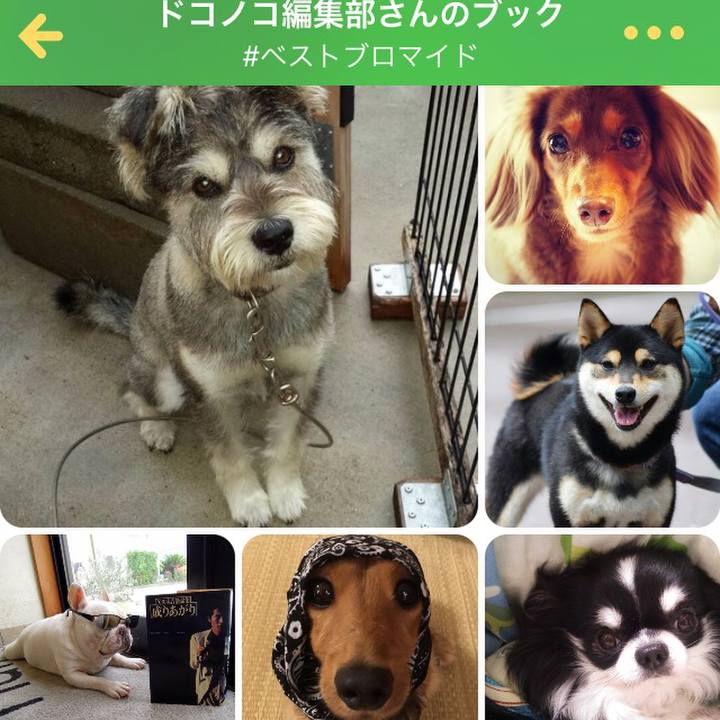 Ca25a3ce b2ba 49d8 90b2 91c95f807849