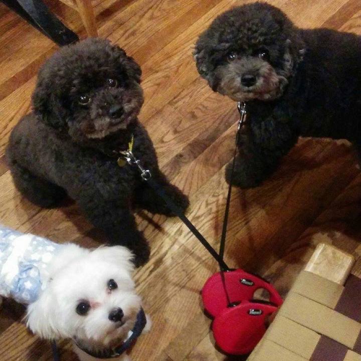 Ca25be22 8e7a 4ed0 ba80 daf3c1e5370d