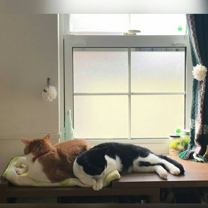 Ca25e7ad fd00 46ff a362 90778b46cb67