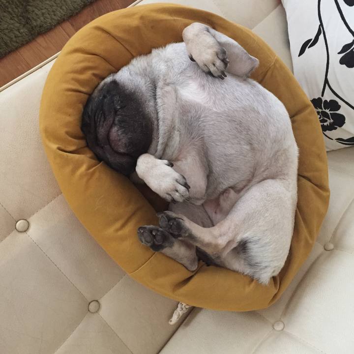 Ca265e9d cabc 487e af36 68f1abfc510a