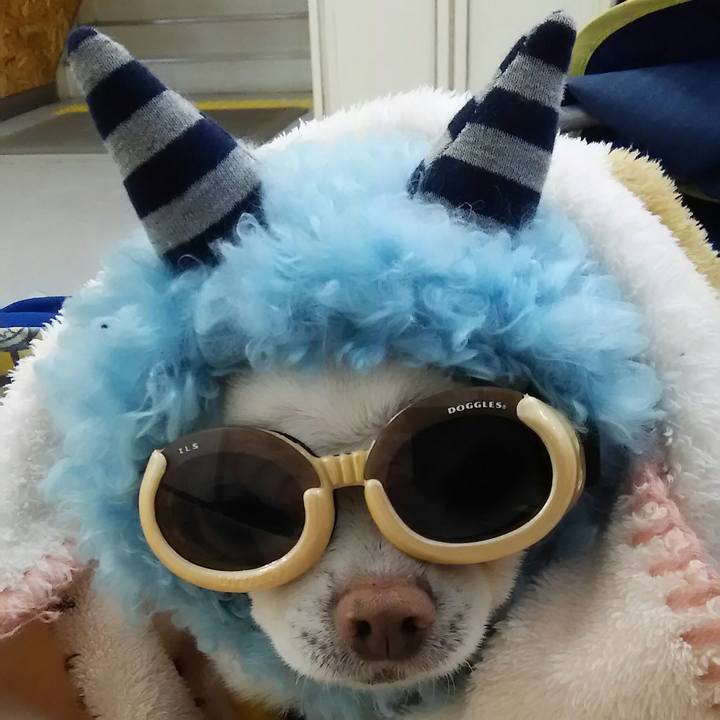 Ca267f46 eba8 4438 a0d1 a0cd6432cc0e