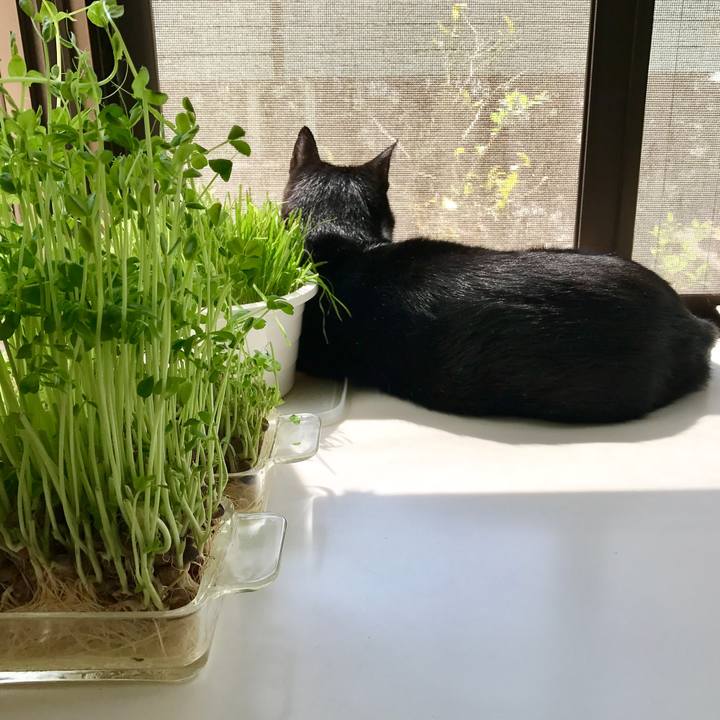 Ca26cb17 8ec1 422f 9a83 5af1b8ce9699