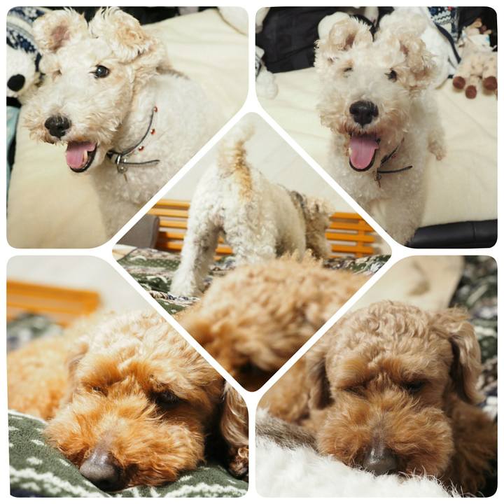 Ca26e89d 0d23 4cd3 ad4e fa66f7ecd7f2