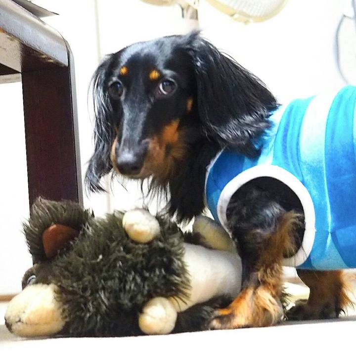 Ca2750a8 71e4 4408 9c07 2d533959650c