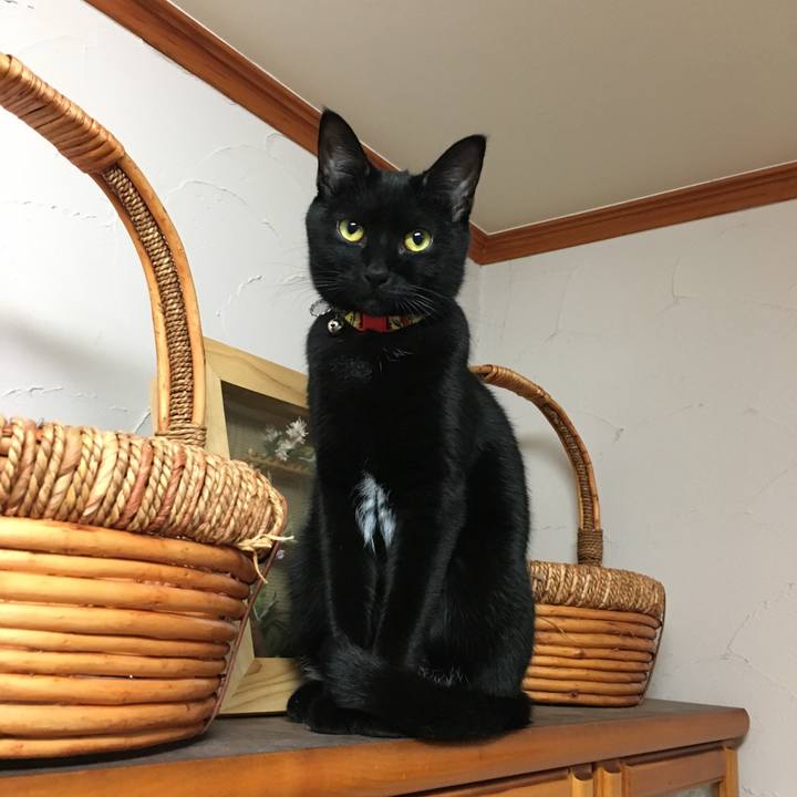 Ca276e22 99a6 41de 9f45 38c340a3529e