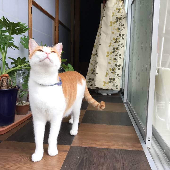 Ca278422 d4ca 463b af8e 00f45d33b979