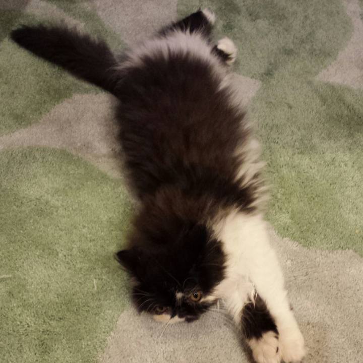 Ca27b06b 66fe 42df b8f2 fb2a7774f5b7