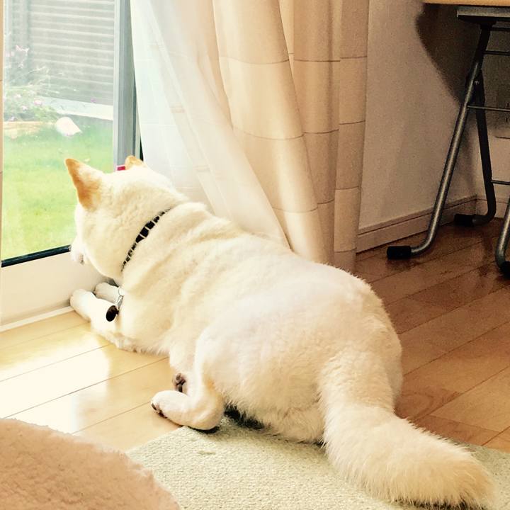 Ca2815a1 0636 48e0 97d9 009e692db3ea