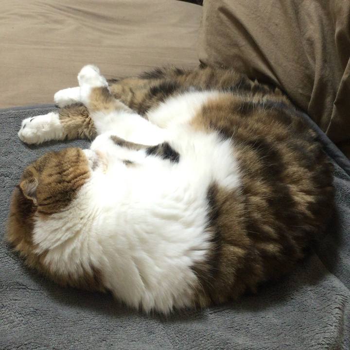 Ca2879e5 15c6 4757 a787 a93497fa7d11