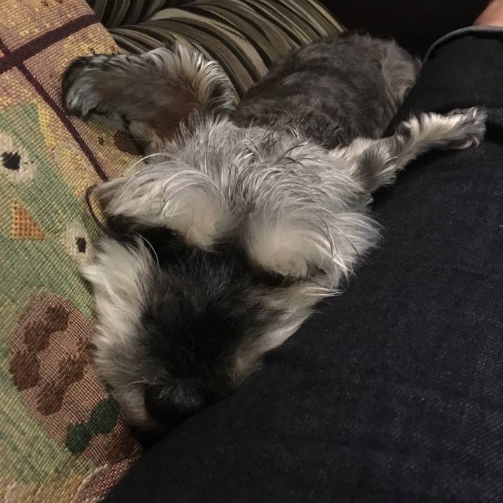 Ca28a2bd d3ae 46d7 b058 112a5a351ca6