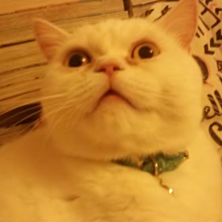 Ca290b5b 3d0c 49c6 b901 5fb870df61b0