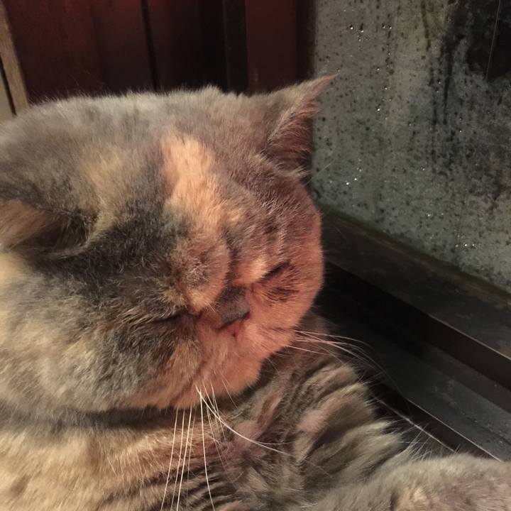 Ca296d84 2da0 4cd6 9734 185bc48e47f1