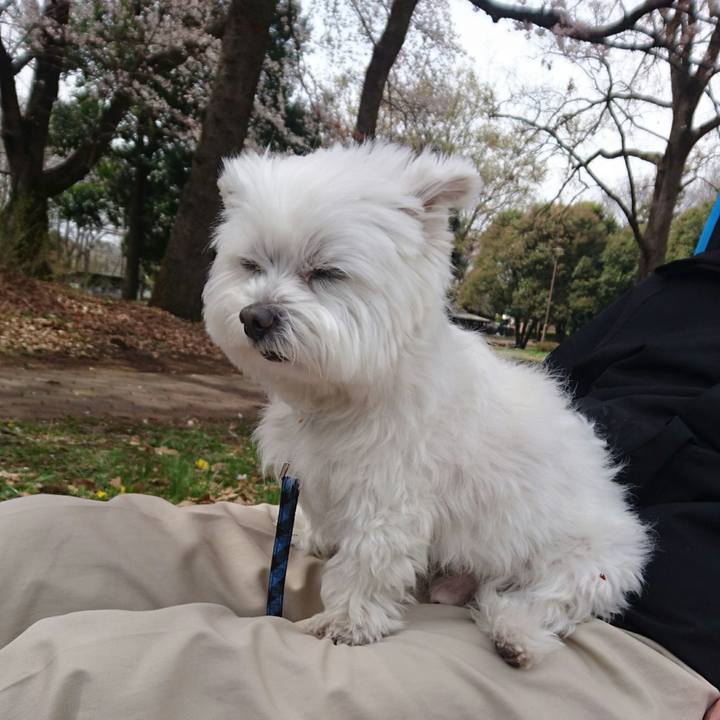 Ca298d62 e3fc 44be afe3 e7a168205719