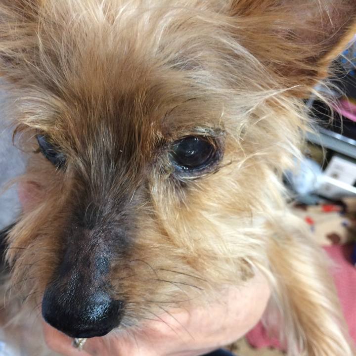 Ca29e9d7 4e48 49e2 82b8 1da5dc5b1a25