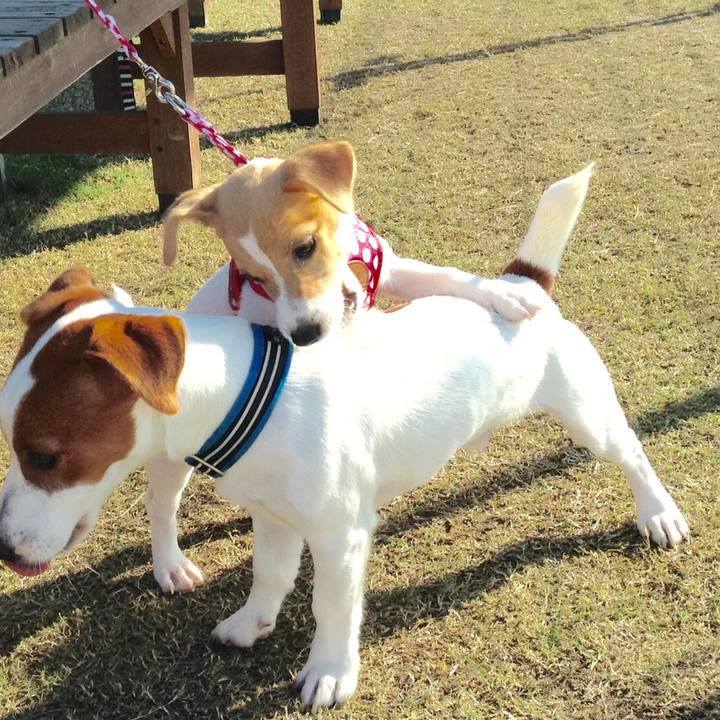 Ca2a61e0 4b60 4a58 8cec d038008af116