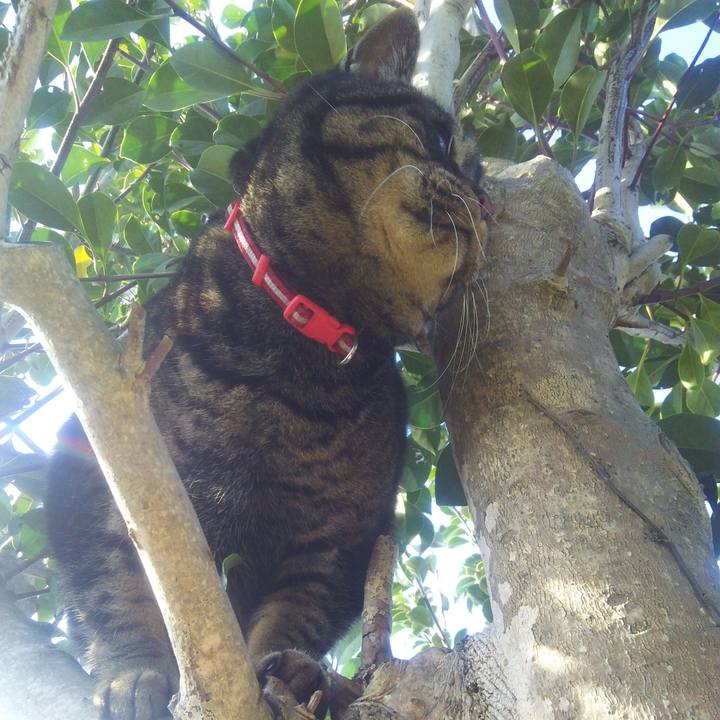 Ca2b3b73 913b 4908 83f3 fcbe7c0fe6f1