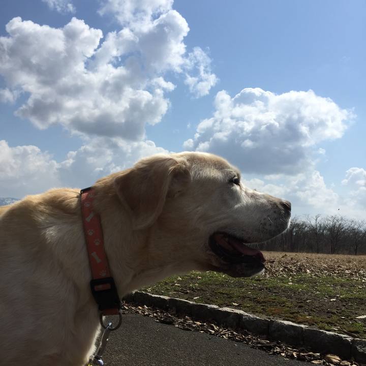 Ca2b8963 0f67 4c56 8f25 1521c0f1cdf2